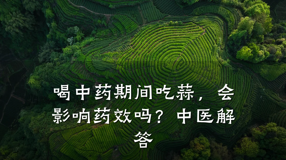 喝中药期间吃蒜,会影响药效吗?中医解答