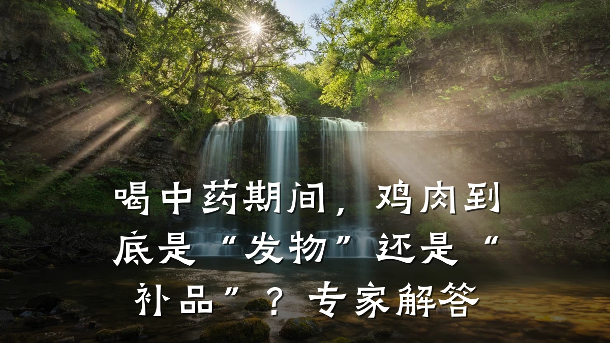 喝中药期间,鸡肉到底是“发物”还是“补品”?专家解答