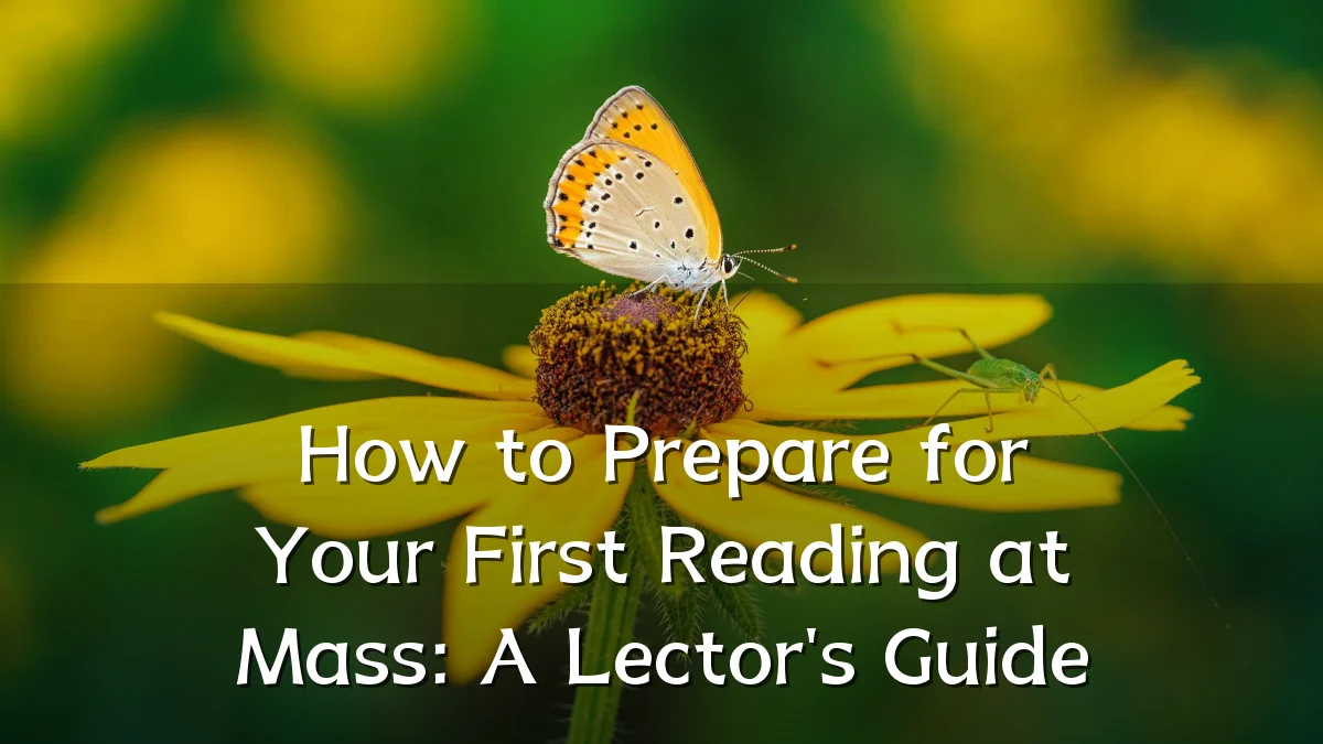 How to Prepare for Your First Reading at Mass: A Lector's Guide