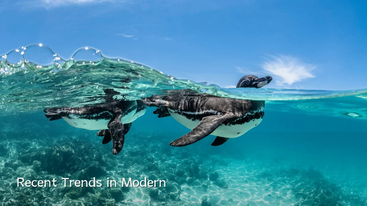 Recent Trends in Modern