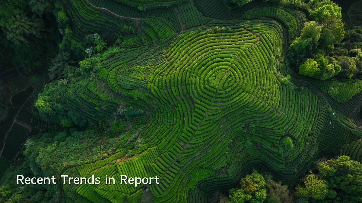 Recent Trends in Report