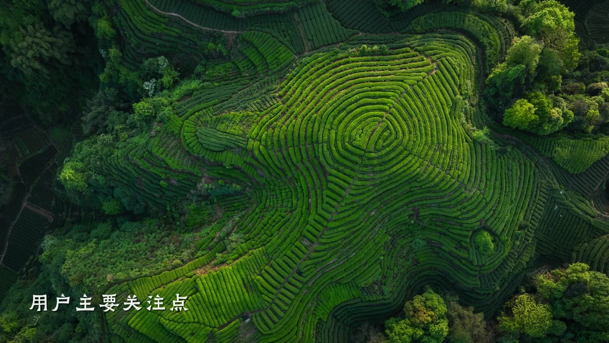 用户主要关注点