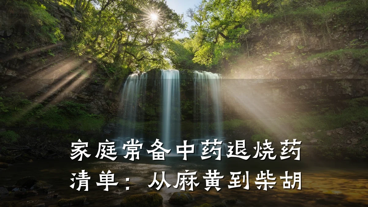 家庭常备中药退烧药清单：从麻黄到柴胡