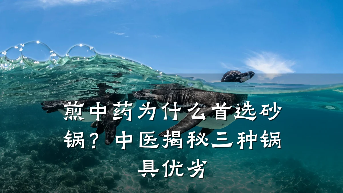 煎中药为什么首选砂锅?中医揭秘三种锅具优劣