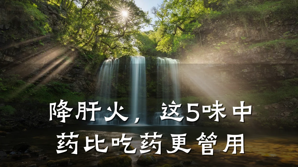 降肝火，这5味中药比吃药更管用