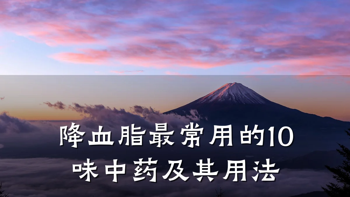 降血脂最常用的10味中药及其用法