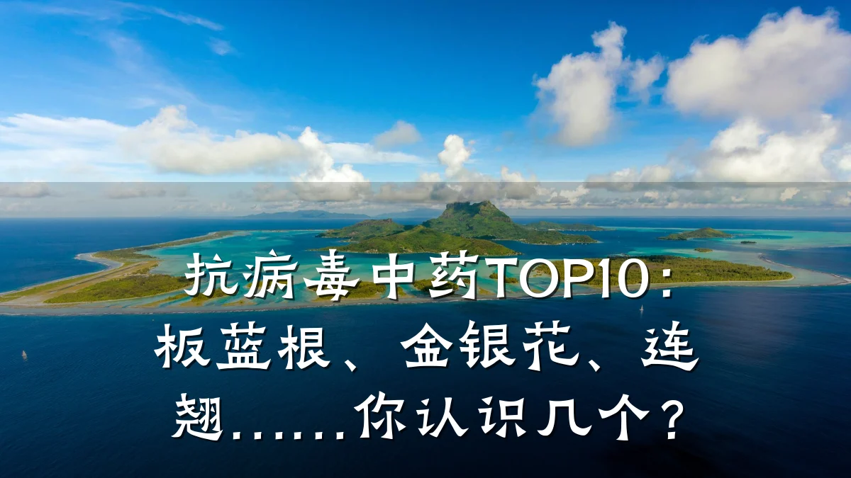 抗病毒中药TOP10:板蓝根、金银花、连翘……你认识几个?
