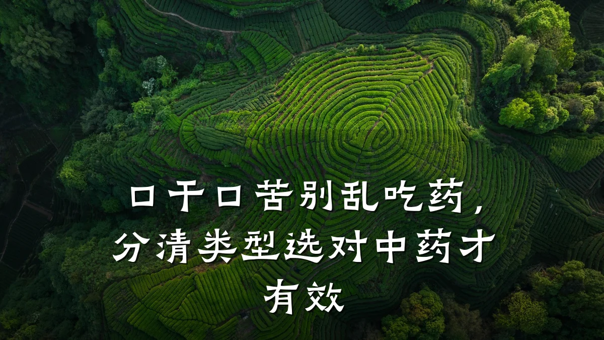 口干口苦别乱吃药,分清类型选对中药才有效