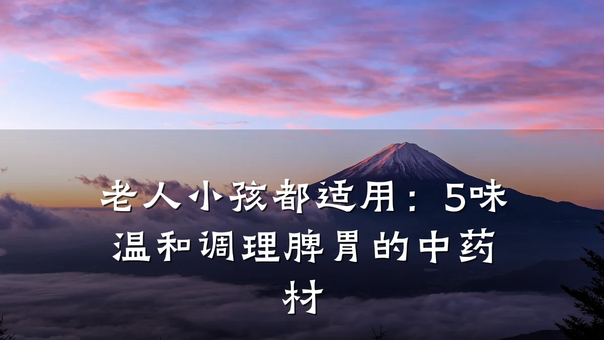 老人小孩都适用:5味温和调理脾胃的中药材