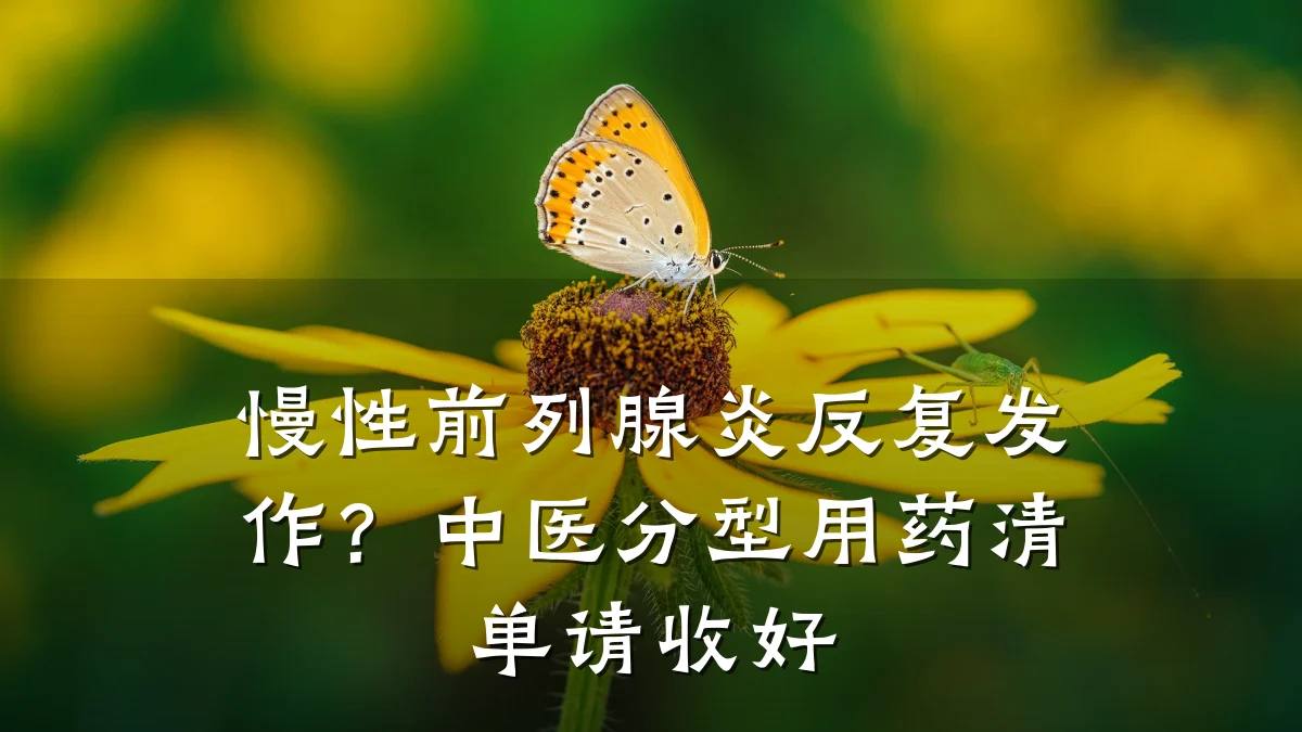 慢性前列腺炎反复发作？中医分型用药清单请收好