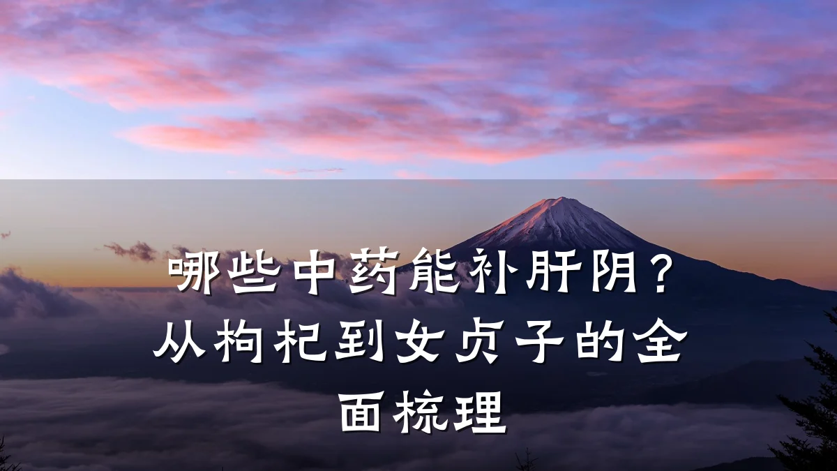 哪些中药能补肝阴?从枸杞到女贞子的全面梳理