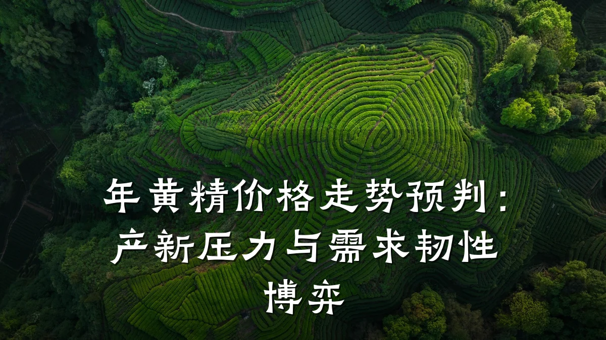 年黄精价格走势预判:产新压力与需求韧性博弈