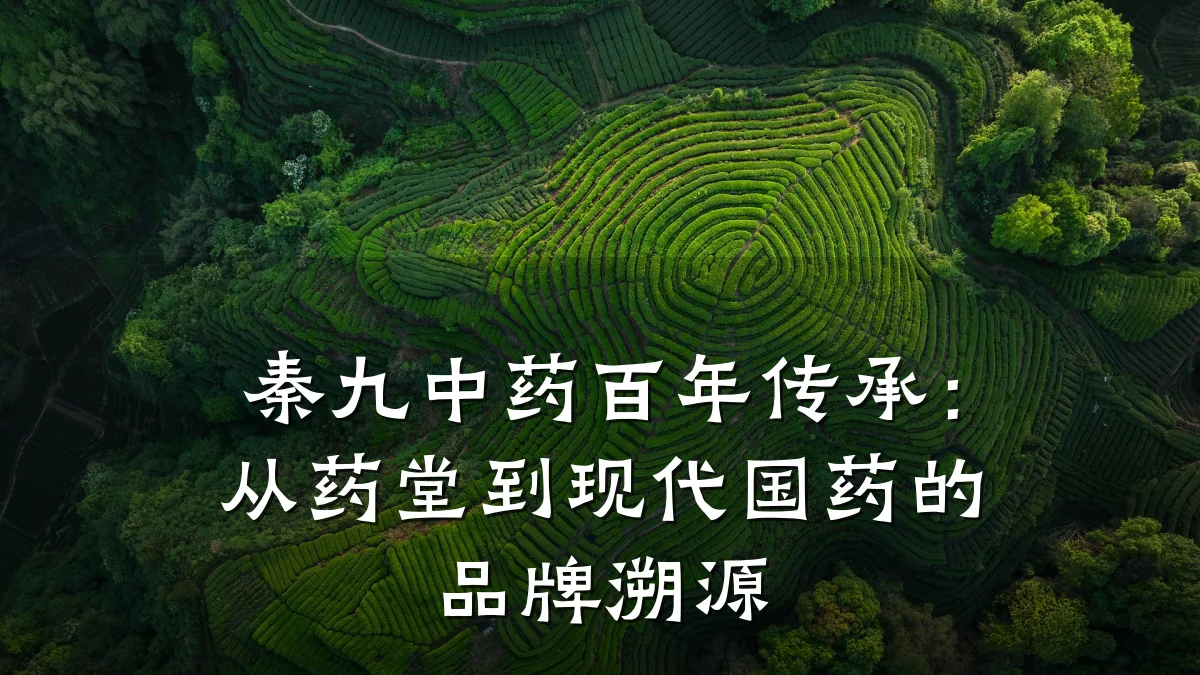 秦九中药百年传承：从药堂到现代国药的品牌溯源