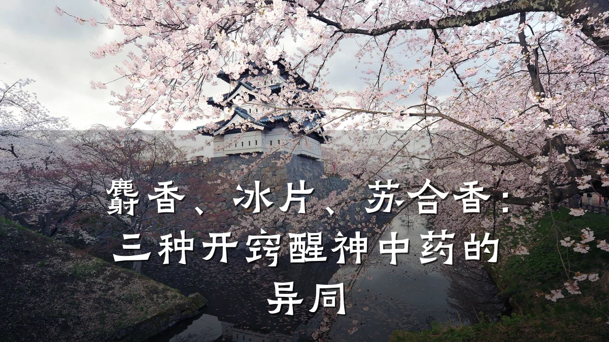 麝香、冰片、苏合香:三种开窍醒神中药的异同