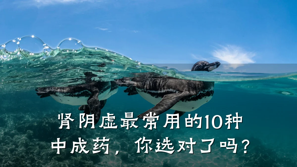 肾阴虚最常用的10种中成药,你选对了吗?