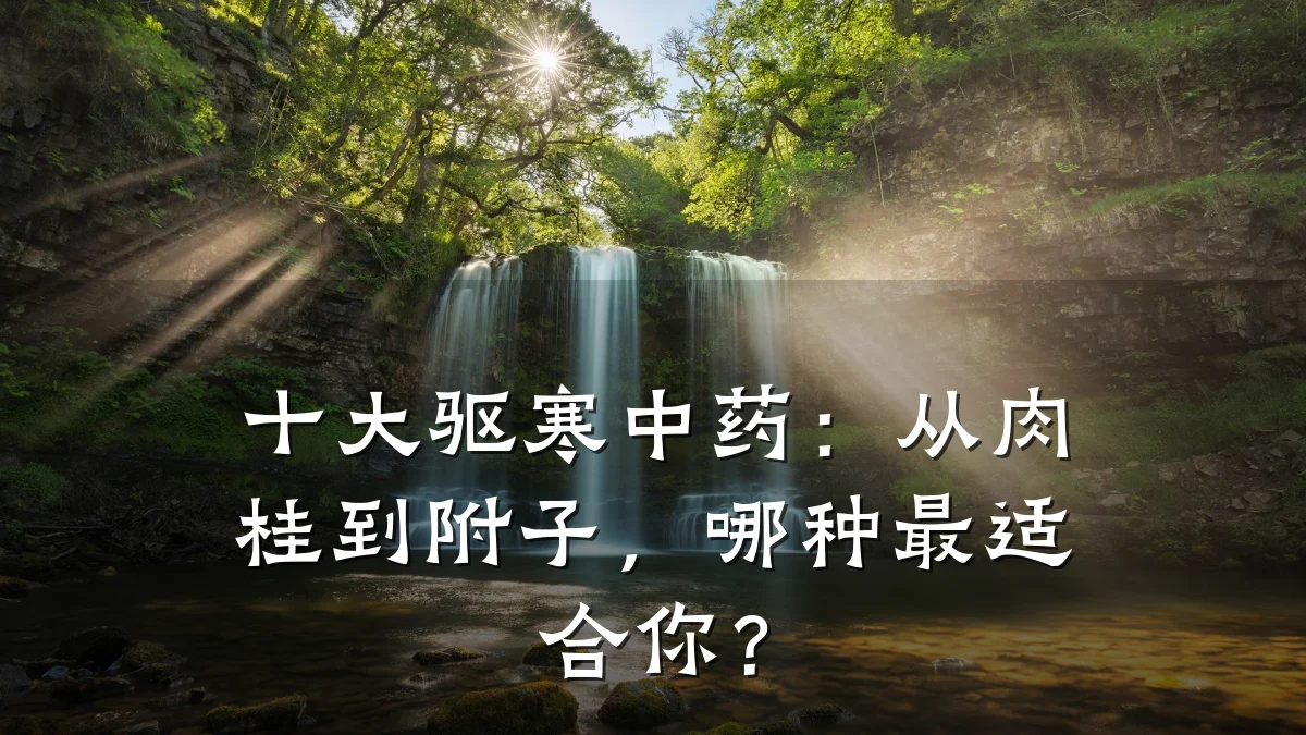 十大驱寒中药:从肉桂到附子,哪种最适合你?
