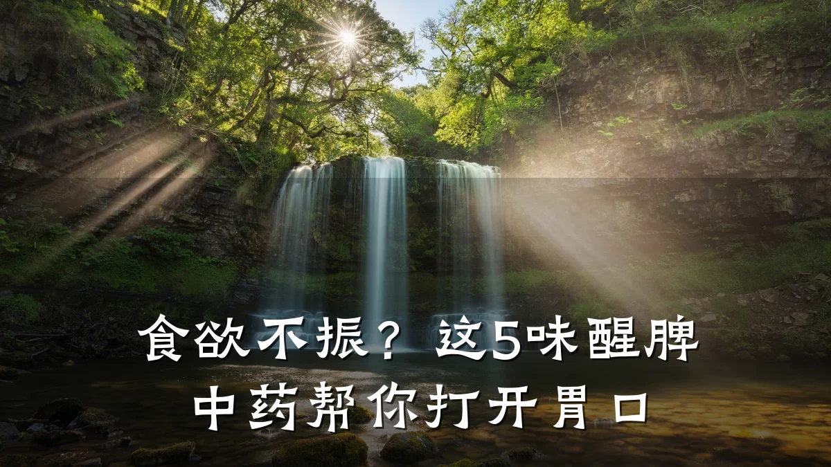 食欲不振?这5味醒脾中药帮你打开胃口