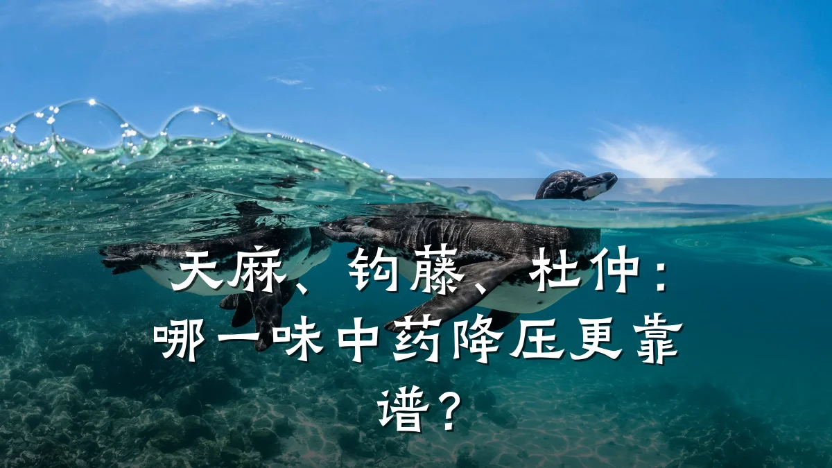 天麻、钩藤、杜仲:哪一味中药降压更靠谱?