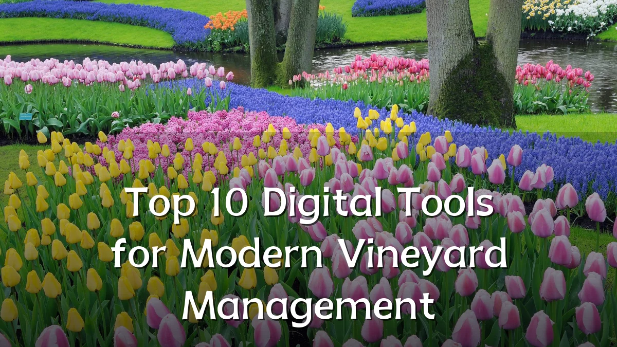 Top 10 Digital Tools for Modern Vineyard Management