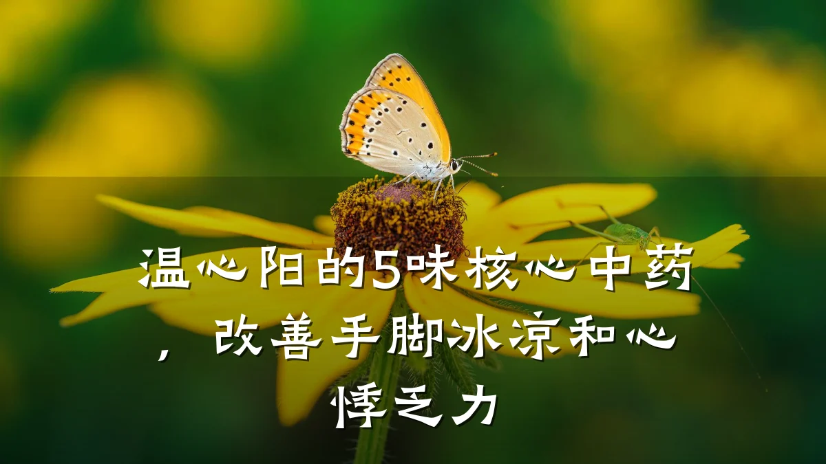 温心阳的5味核心中药,改善手脚冰凉和心悸乏力