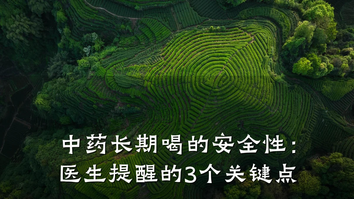 中药长期喝的安全性:医生提醒的3个关键点