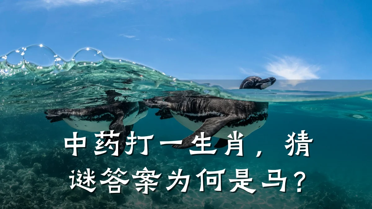 中药打一生肖，猜谜答案为何是马？