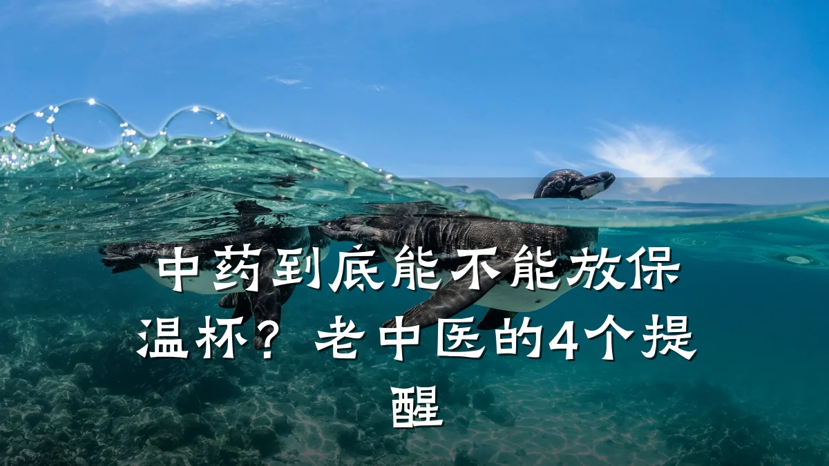 中药到底能不能放保温杯?老中医的4个提醒