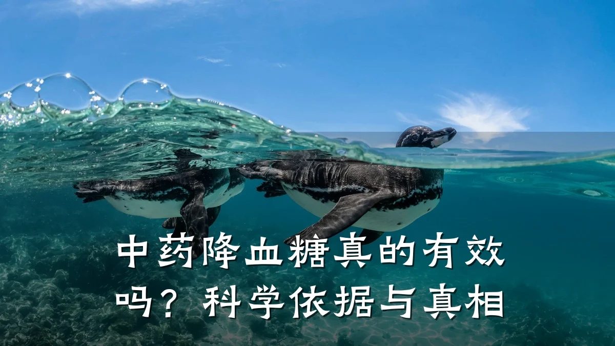 中药降血糖真的有效吗?科学依据与真相