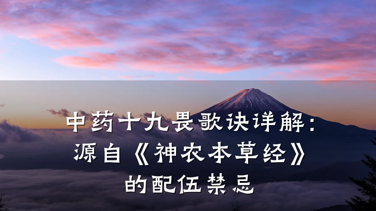 中药十九畏歌诀详解:源自《神农本草经》的配伍禁忌