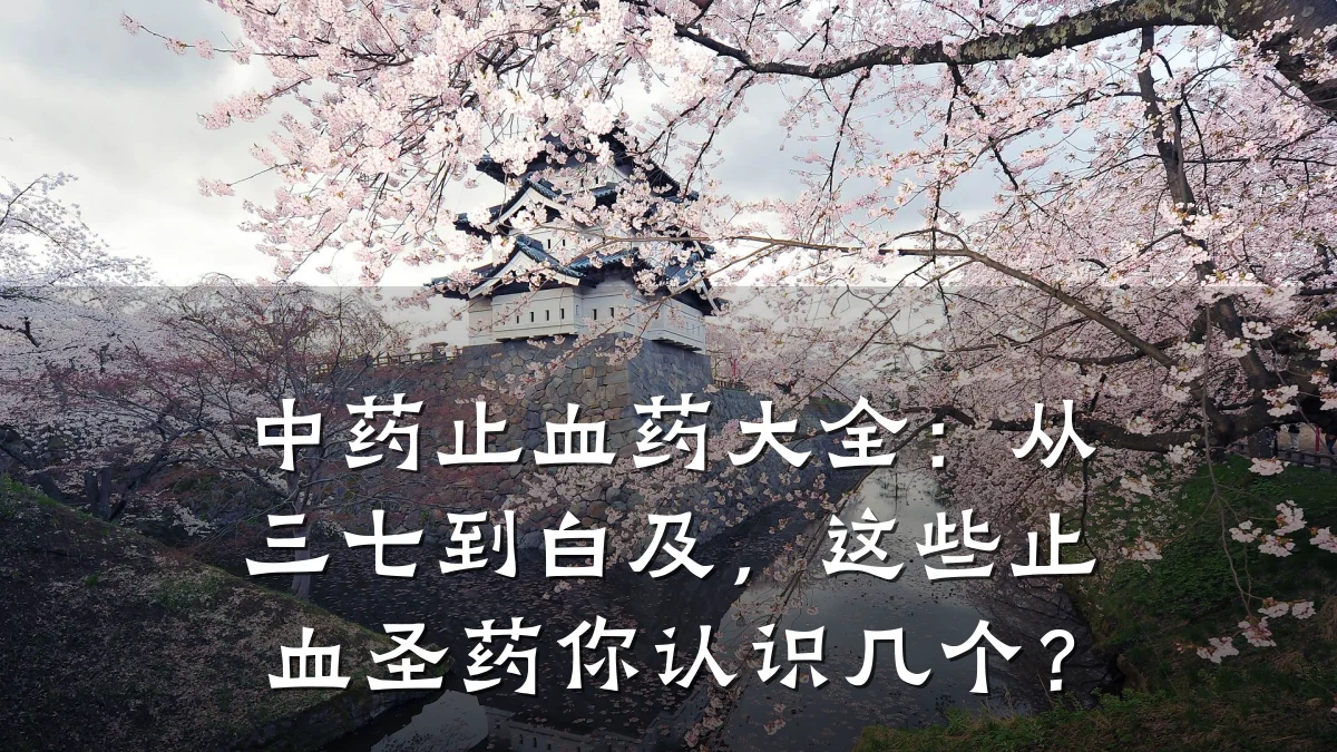 中药止血药大全:从三七到白及,这些止血圣药你认识几个?