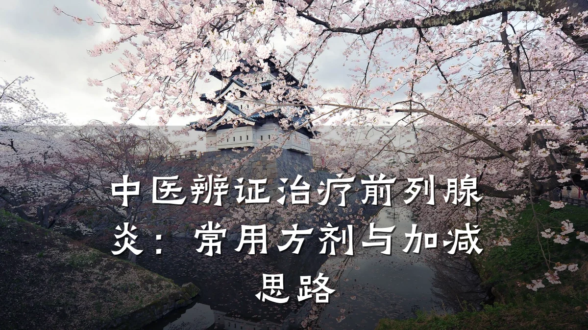 中医辨证治疗前列腺炎:常用方剂与加减思路