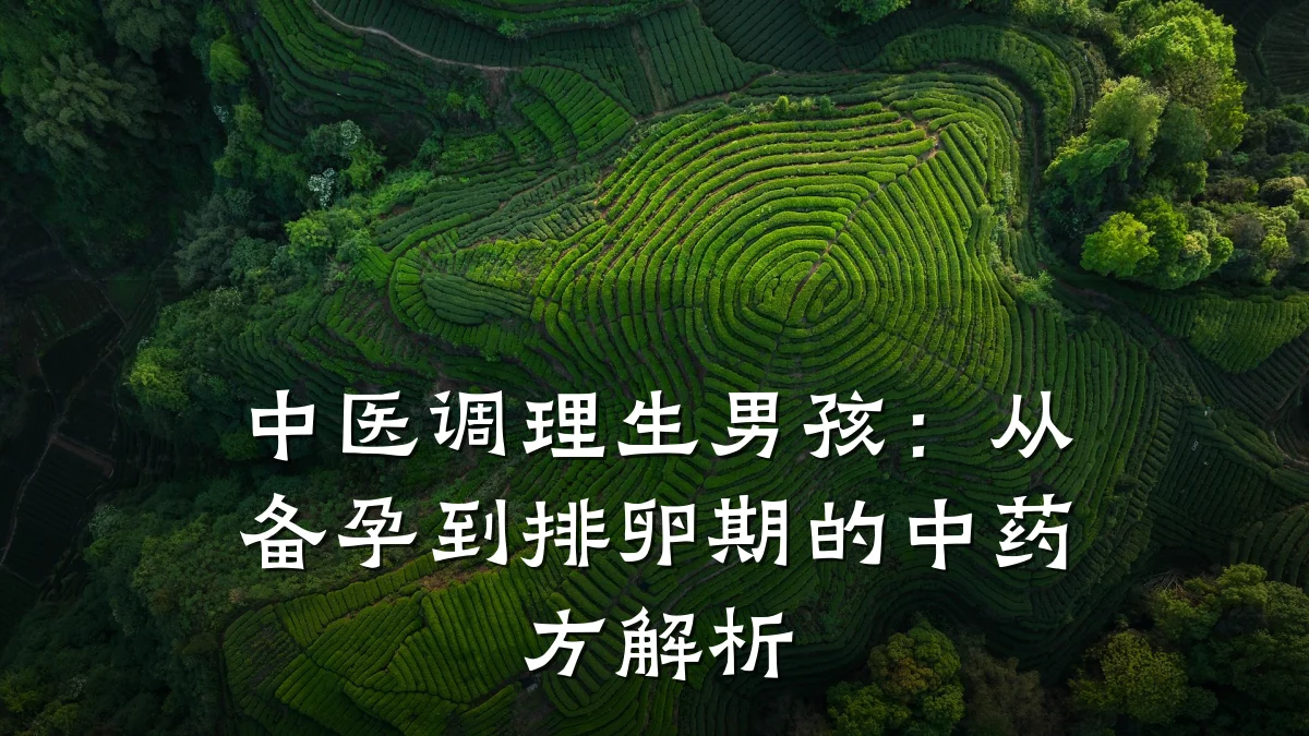 中医调理生男孩:从备孕到排卵期的中药方解析