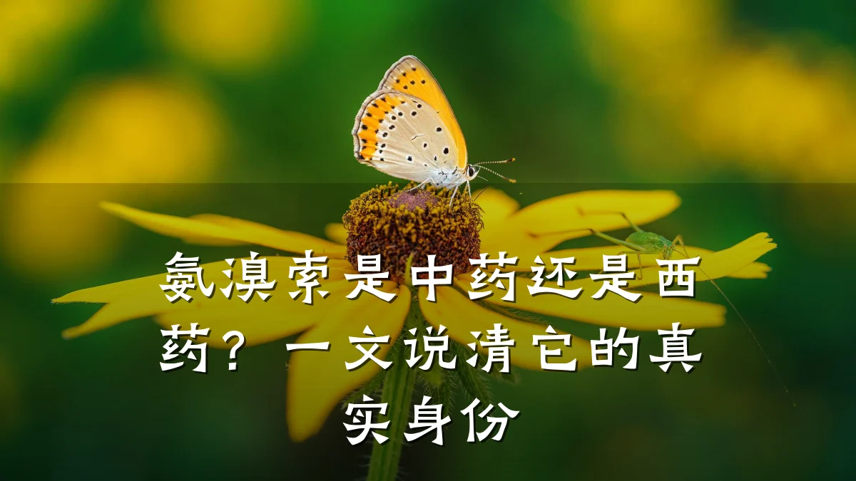 氨溴索是中药还是西药?一文说清它的真实身份