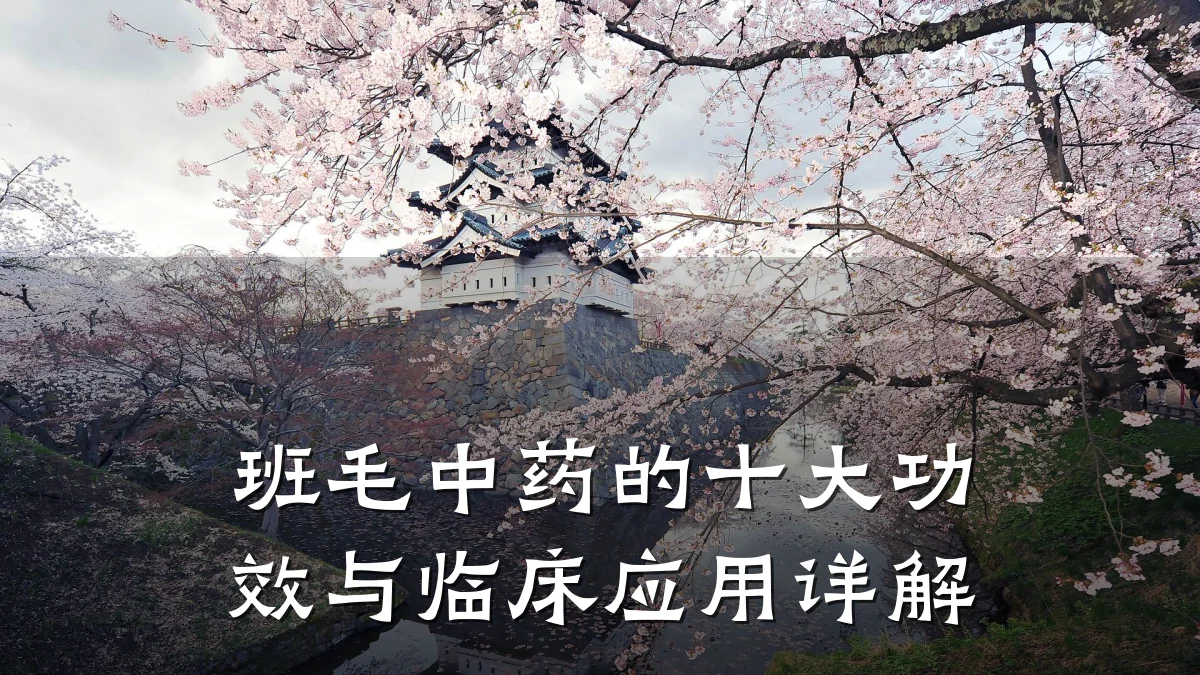 班毛中药的十大功效与临床应用详解