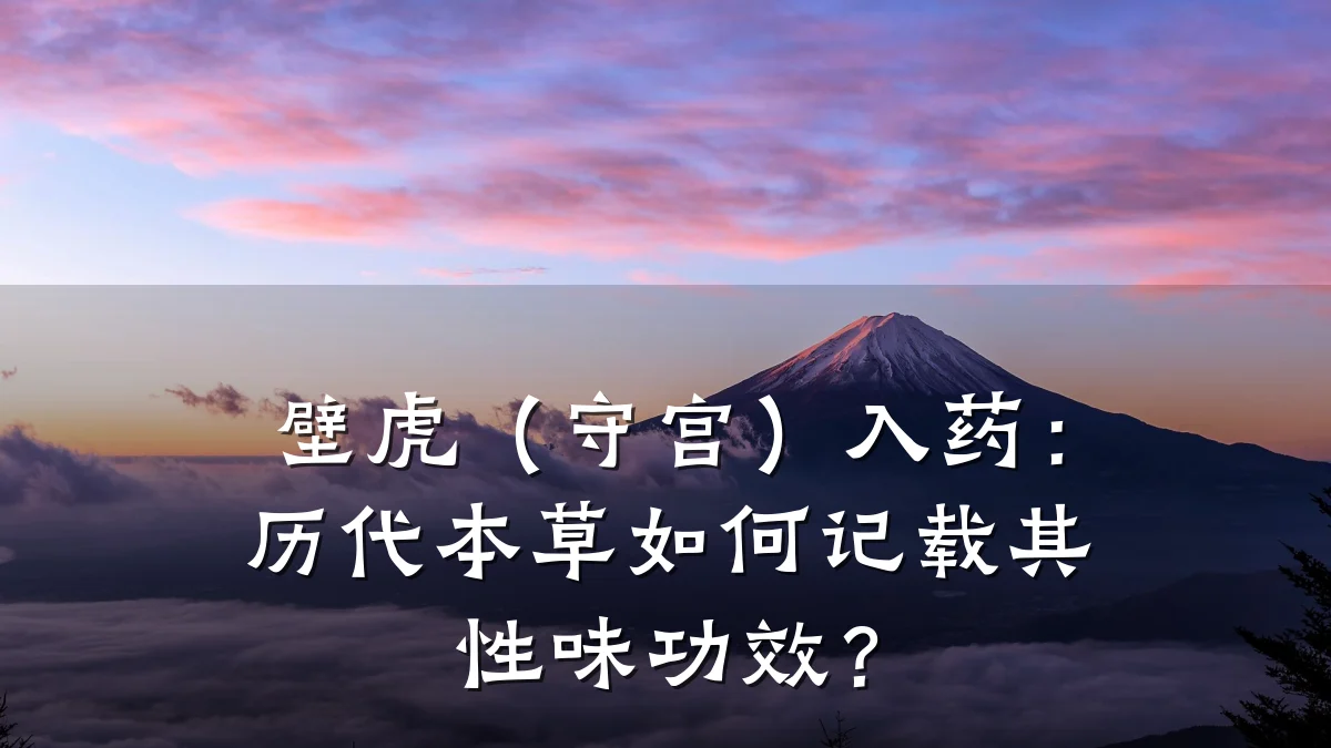 壁虎(守宫)入药:历代本草如何记载其性味功效?