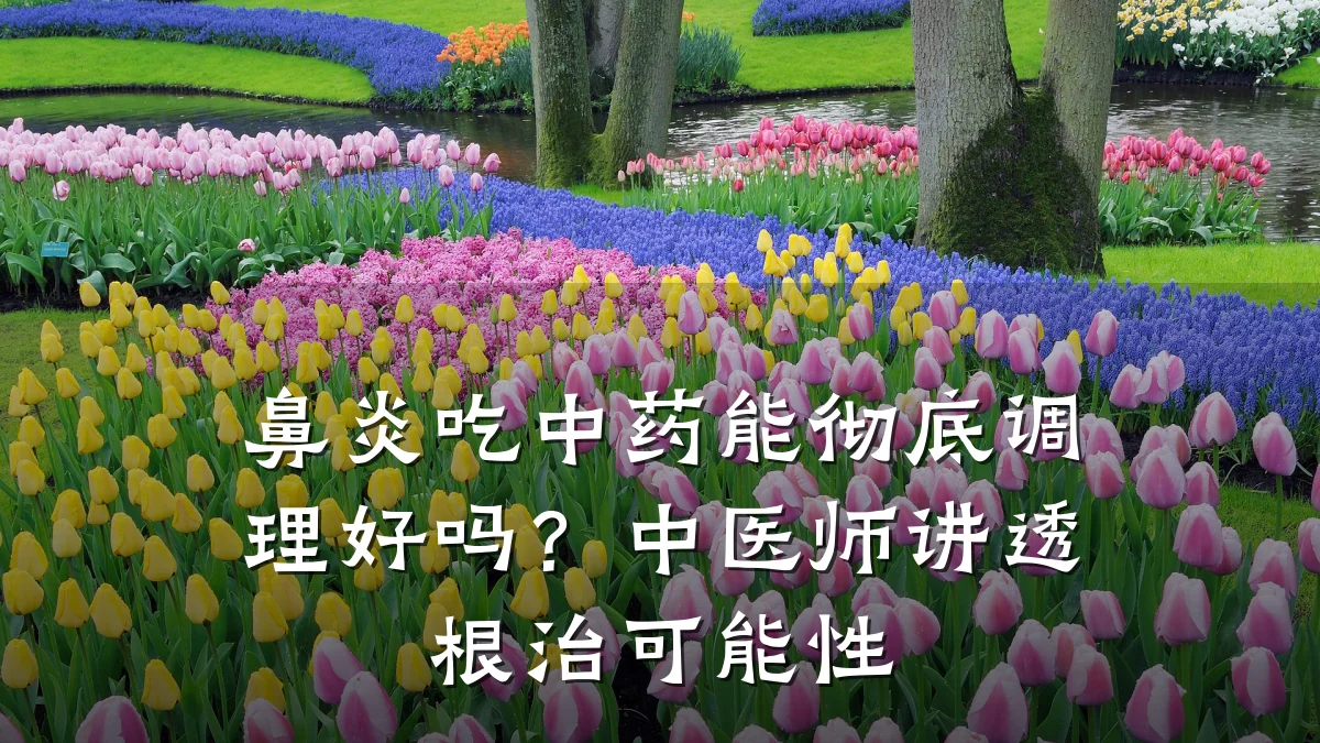 鼻炎吃中药能彻底调理好吗？中医师讲透根治可能性