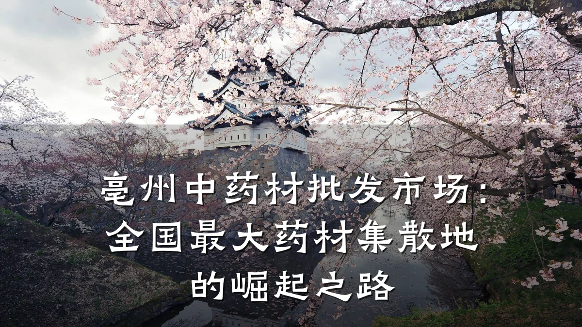 亳州中药材批发市场:全国最大药材集散地的崛起之路
