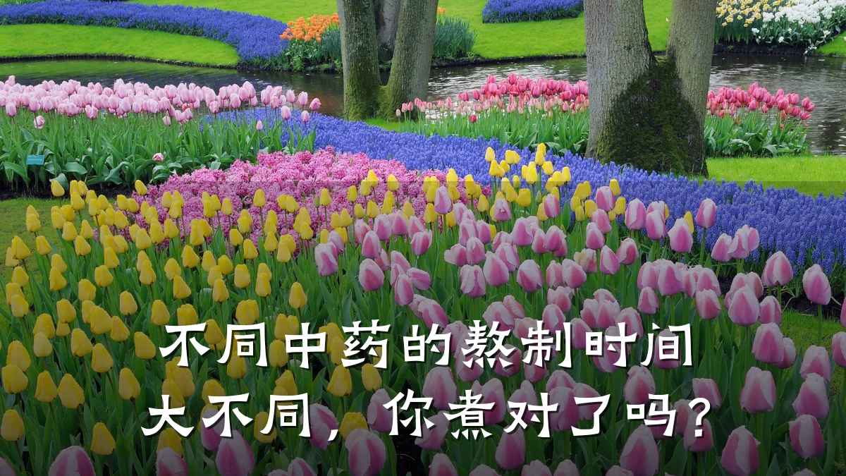 不同中药的熬制时间大不同,你煮对了吗?