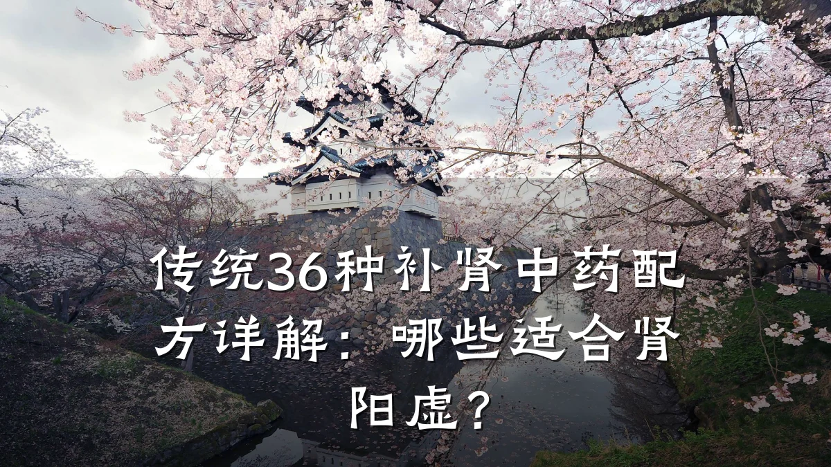传统36种补肾中药配方详解:哪些适合肾阳虚?
