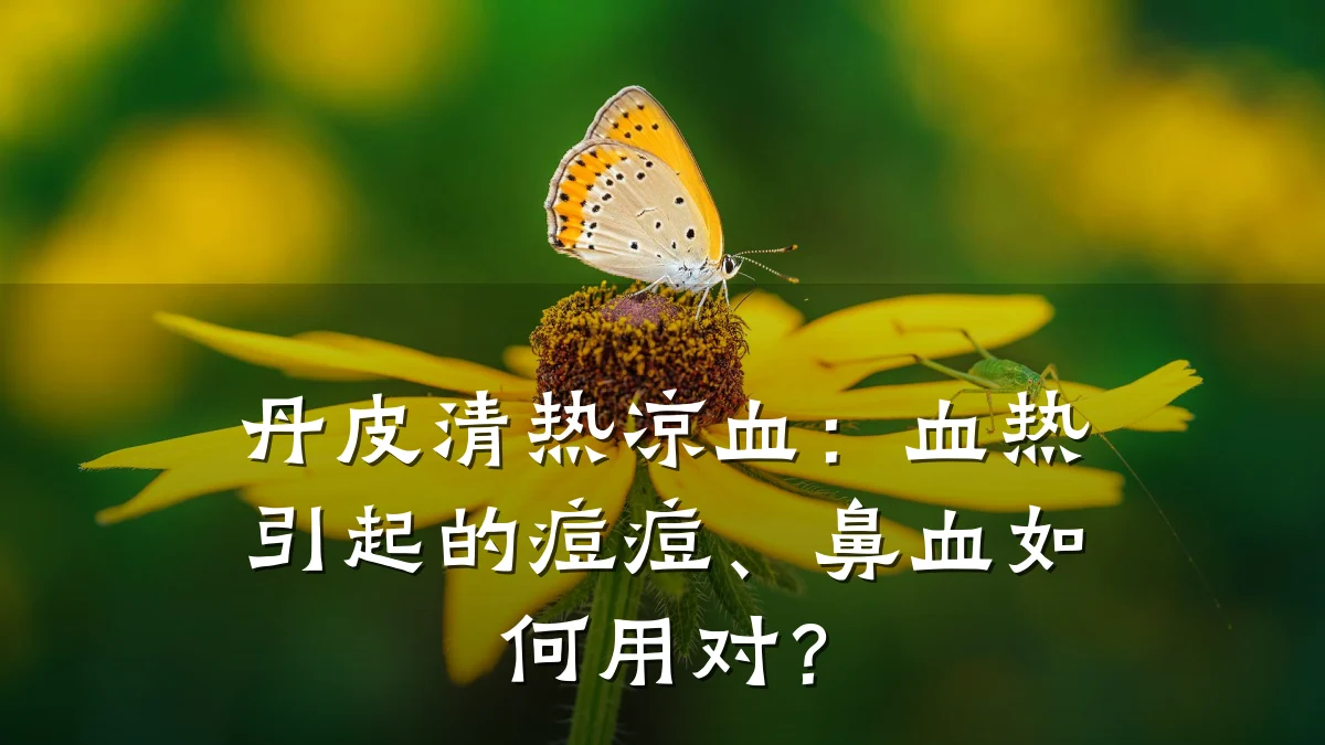 丹皮清热凉血：血热引起的痘痘、鼻血如何用对？
