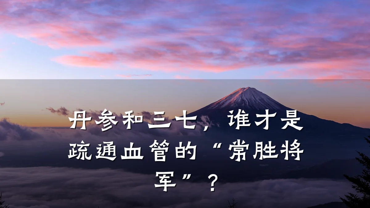 丹参和三七,谁才是疏通血管的“常胜将军”?