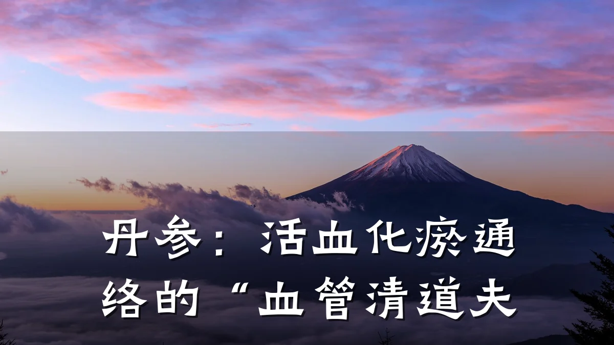 丹参：活血化瘀通络的“血管清道夫