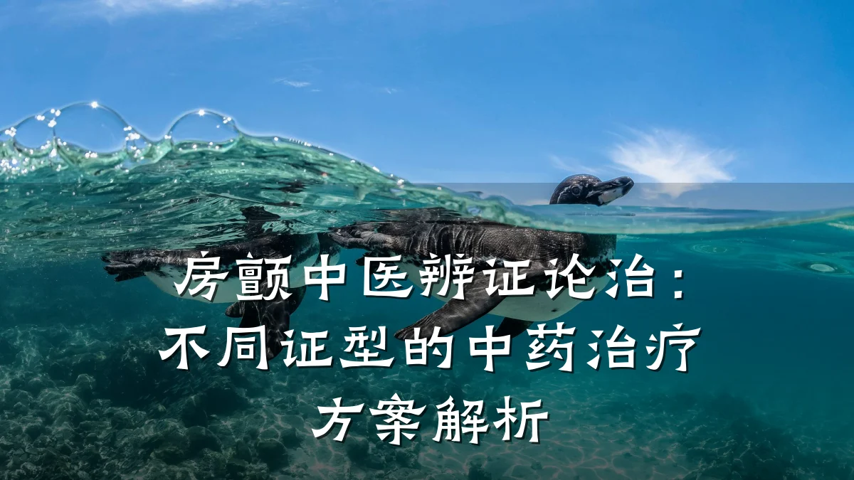 房颤中医辨证论治：不同证型的中药治疗方案解析
