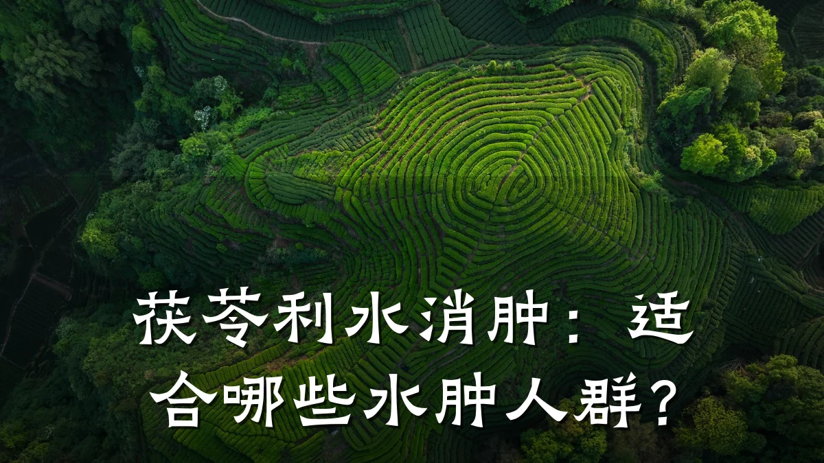 茯苓利水消肿:适合哪些水肿人群?