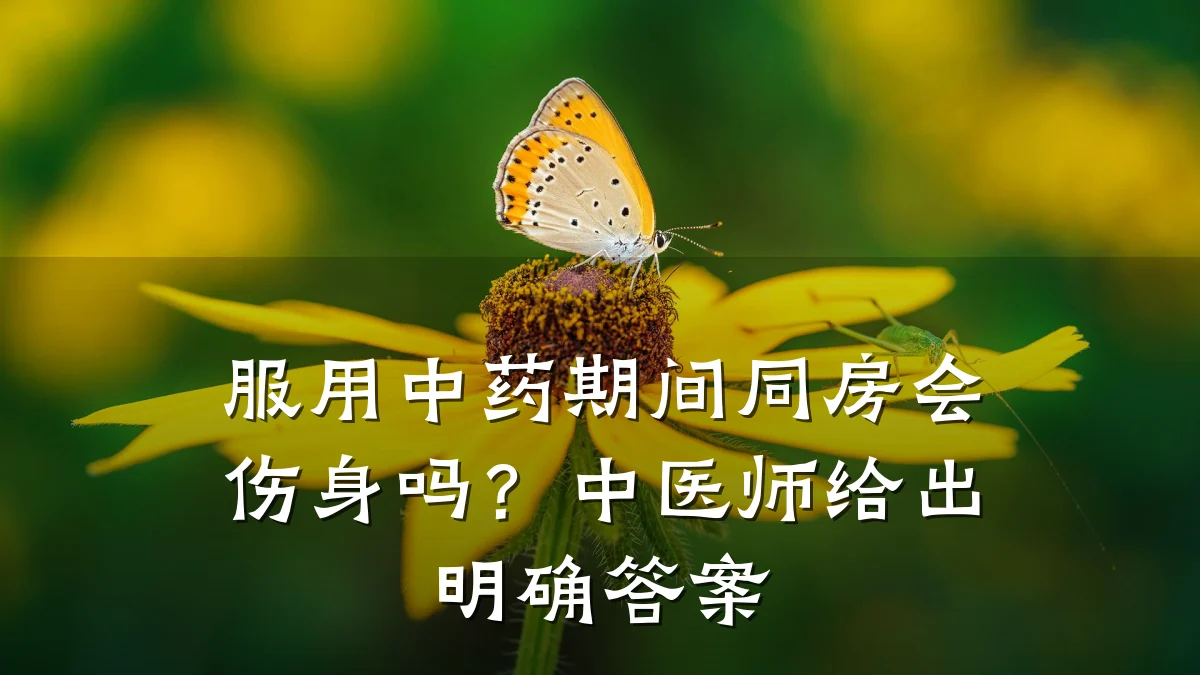服用中药期间同房会伤身吗？中医师给出明确答案