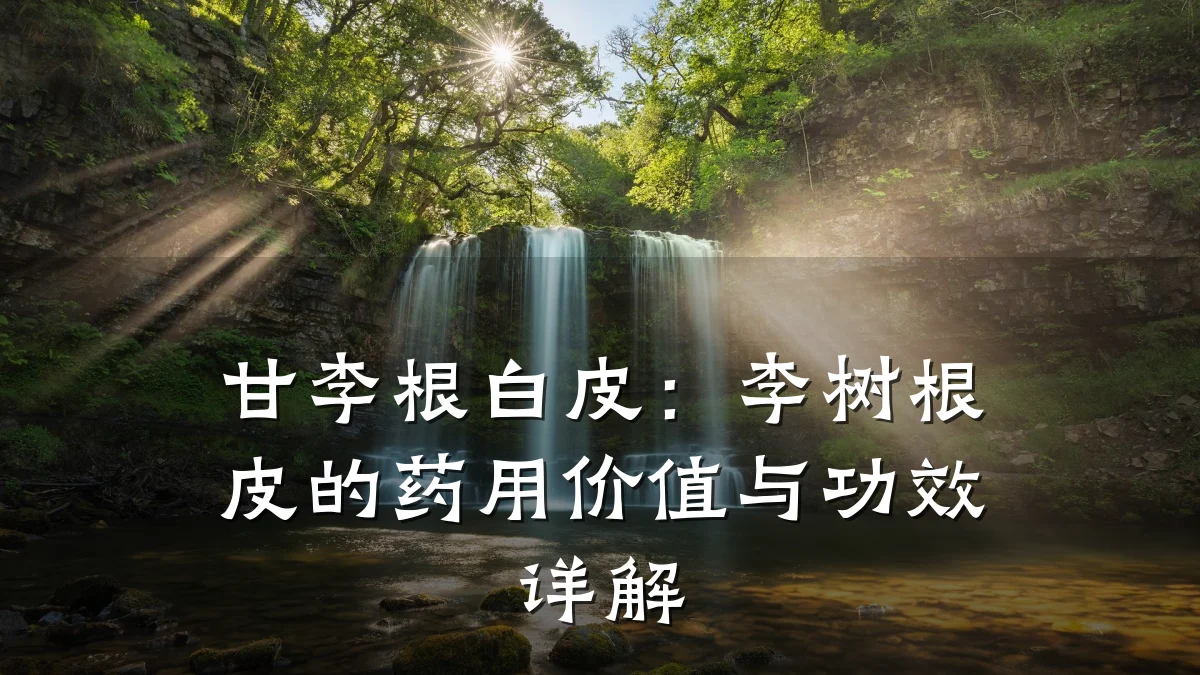 甘李根白皮:李树根皮的药用价值与功效详解