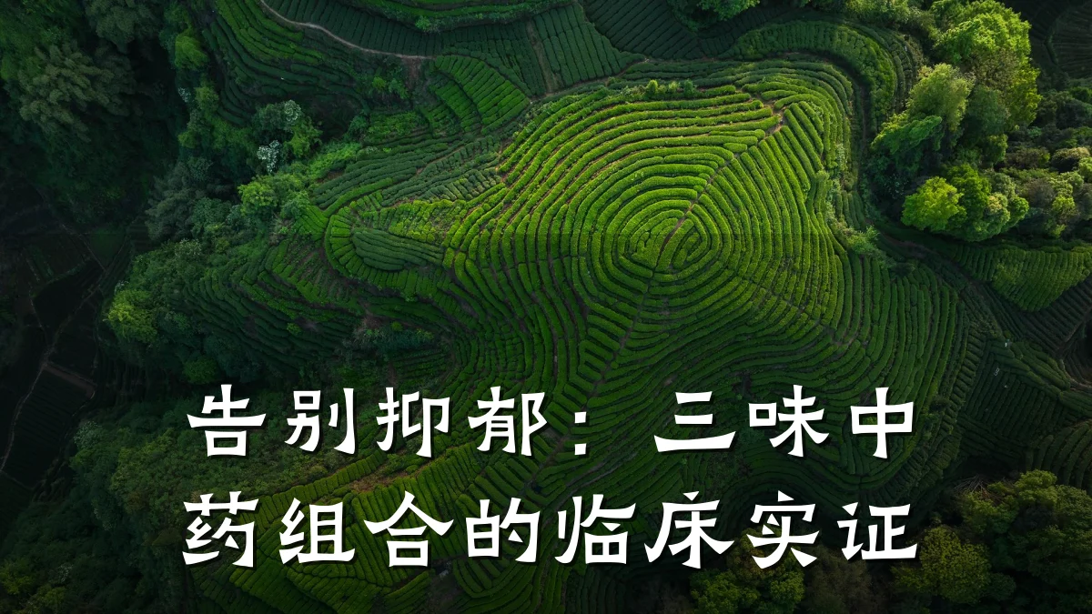 告别抑郁:三味中药组合的临床实证