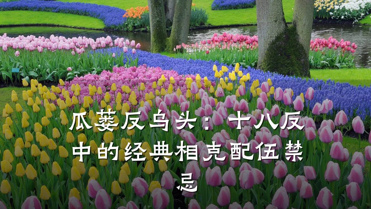 瓜蒌反乌头:十八反中的经典相克配伍禁忌