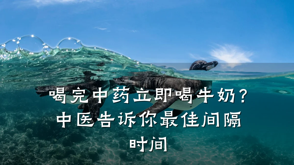 喝完中药立即喝牛奶?中医告诉你最佳间隔时间