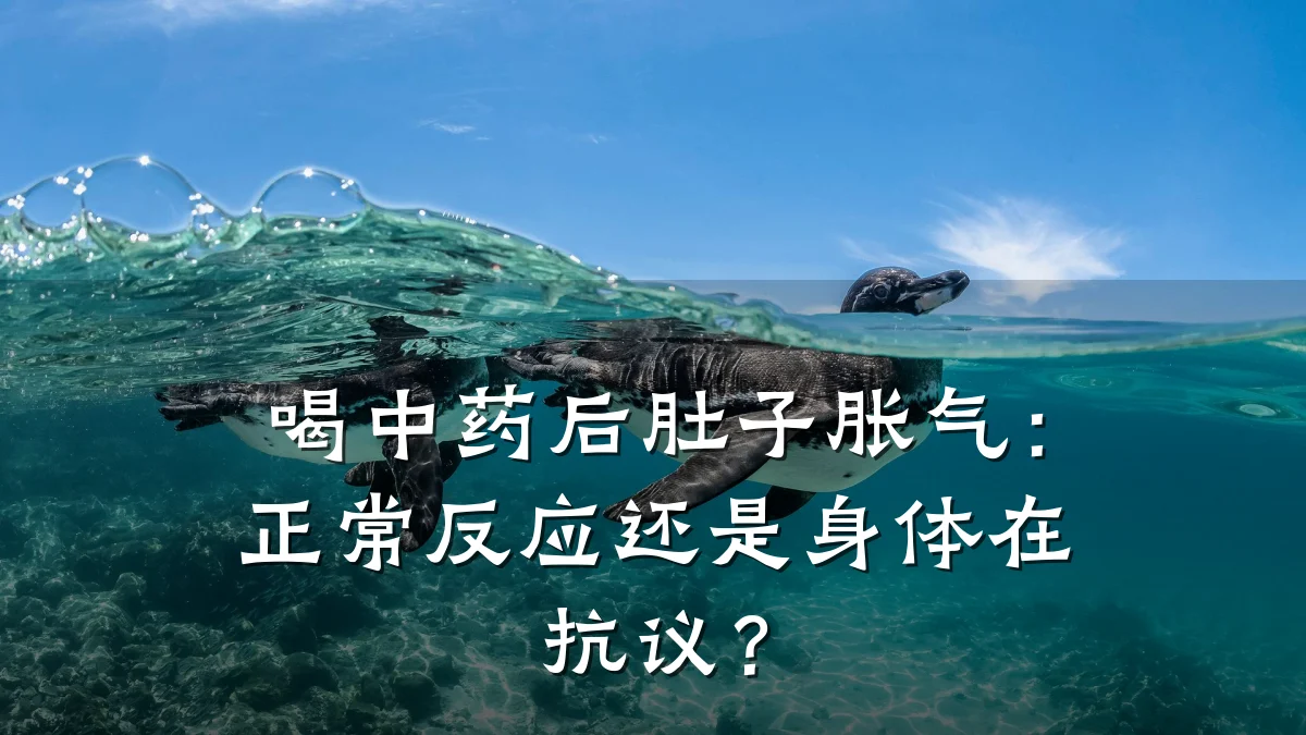喝中药后肚子胀气:正常反应还是身体在抗议?
